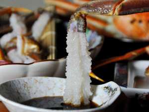 �y���Ɏh���z�Ƃ���Ƃ����݂��݂������Â݂���i�I�N�x�̍����I�����h�g�ŐH�ׂ��ґ�B