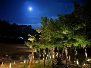【熊野倶楽部】竹あかりと星空