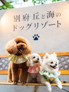 別府 丘と海のドッグリゾート(旧別府風雅)の施設写真1
