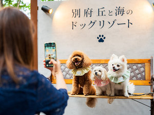 【フォトスポット】