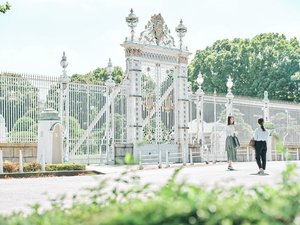 ���j�Ɣ������Â��A���{�̌}�o�̕��� �u�}�o�ِԍ◣�{�v�B