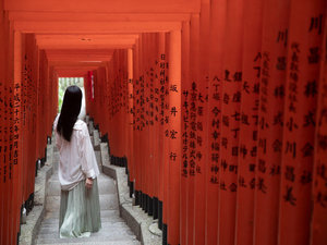 �u���}�_�Ёv�̈�׎Q���́A�������琼�֑����Q���B��F�̒������S�̂Ɂu��{�����v���������т܂��B