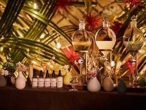 ��ɂȂ�ƁA�����΂Ȃ̓��{�O�嗬�h�w�������x�̍�i��OMO�x�[�X���ʂ�܂��B�i8:00PM�`23:00PM�j