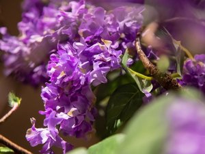 季節のお花でお待ちしております