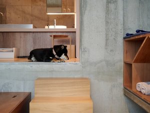 【熊本県天ヶ瀬温泉のペットと泊まれる宿】HONJIN