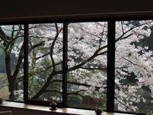 2�K�h����p���X�g��������̃\���C���V�m�V�[�Y���ɂ̓��C�g�A�b�v���s���܂��B2019/3/29�B�e