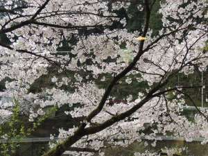 2�K���r�[���猩���\���C���V�m�V�[�Y���ɂ̓��C�g�A�b�v���s���܂��B2019/3/29�B�e