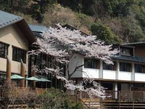 ��̐X�O�̃\���C���V�m�V�[�Y���ɂ̓��C�g�A�b�v���s���܂��B2019/3/29�B�e