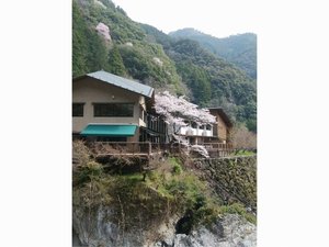 ��̐X�O�̃\���C���V�m�@2019�N3��29���B�e