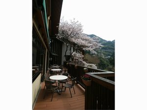 ��̐X�O�̃\���C���V�m�@2019�N3��29���B�e