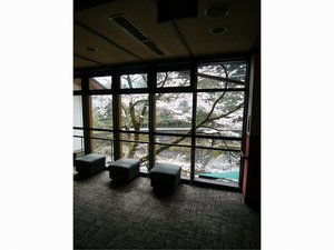 ��̐X2�K�z�[������̃\���C���V�m�@2019�N3��29���B�e