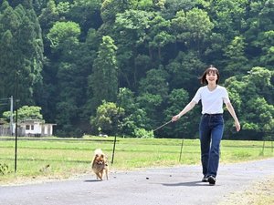 自然の中をのびのび散歩できます。