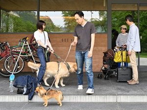 わんちゃんが一緒でもお泊りいただけます