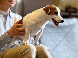 お部屋で愛犬とくつろいでいただけます。