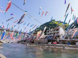 ★杖立温泉鯉のぼり祭り♪★期間3月25日〜4月24日まで