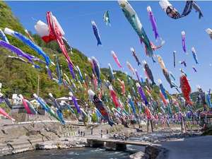★杖立温泉鯉のぼり祭り♪★期間3月25日〜4月24日まで