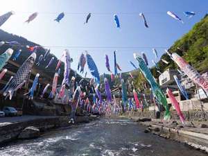 ★杖立温泉鯉のぼり祭り♪★期間3月25日〜4月24日まで