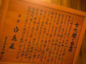 大浴場の浴槽浴室の全ての木材は古代檜と呼ばれる直径二メートル余りの巨木です。