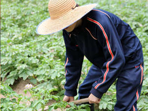 当館の畑で育った自家製野菜