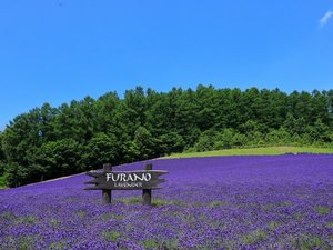 �x�ǖ�s���x���_�[��