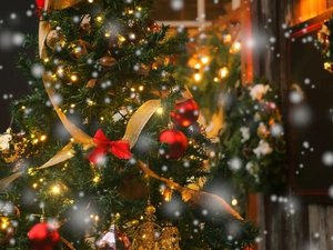 ロビーにはクリスマスツリーが登場し、冬の訪れを感じるあたたかな雰囲気に包まれます。