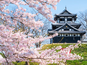 【周辺:春】高田城観桜会