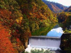 *�y�H�z�_�����ӂ͂ЂƑ���ɍg�t�G�ߓ���