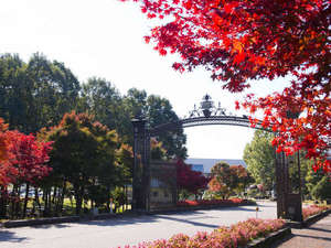 �z�e�����ʏH2