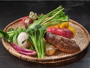 【野菜】道の駅「サンピコごうつ」から直送の無農薬または減農薬にこだわった野菜です。