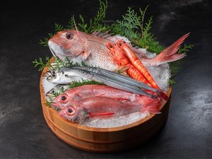 【魚】魚は天然物にこだわり旬の魚を仕入れています。