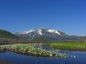 【尾瀬】尾瀬への宿泊拠点としても♪お得な尾瀬ライナー付プランも登山期間は販売いたします。