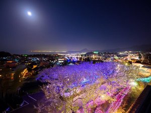 夜桜を楽しめるのは、ご宿泊のお客様だけです
