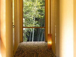 館内通路の窓からは竹林が覗く