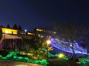 イルミネーション(11月〜2月頃)