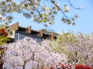 春には桜が咲き誇ります。