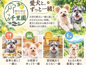 施設