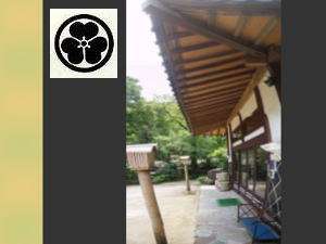 �y�_�ސ쌧:���؁E�C�V���z�ʐ��O