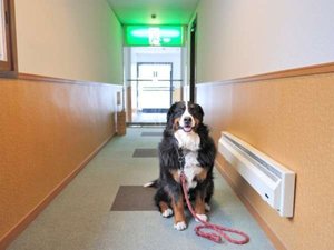 ペット館廊下です ほたるもニッコリ