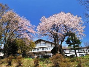 桜の中の大平ホテル(G.Wが見頃です)