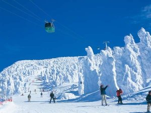 これが蔵王のスノーモンスター