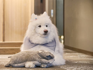 �G���W�F���N