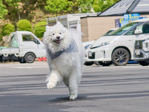 �G���W�F���N