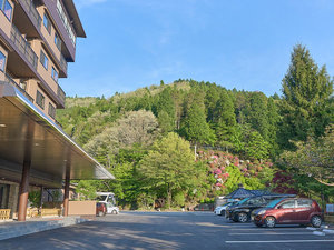 �����ʌ���