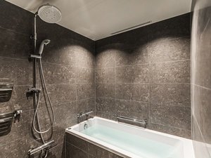 �G�O�[�N�e�B�u�X�C�[�g 52.2�u�i�X�J�C�c���[���j