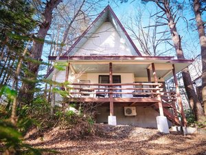 rinne �k�y��� Forest3