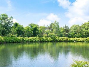 【中庭】からまつ湖