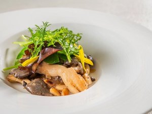 土地の恵みコース(2026秋)群馬やまこきのこ園の茸の軽いジュレ寄せと秋のお野菜のサラダ