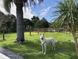 【千葉県九十九里・銚子のペットと泊まれるホテル・旅館・貸し別荘】The garden hotel with DOG