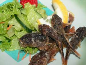 �n���O�ؓ���ō̂ꂽ�u�������v