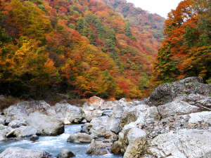 *�y�g�t�z���Ԃ�k�J